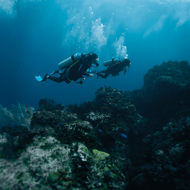 Two scuba divers exploring a coral reef using enriched air systems, representing NRC’s mission to make Nitrox and rebreather diving safer and more accessible since 2000